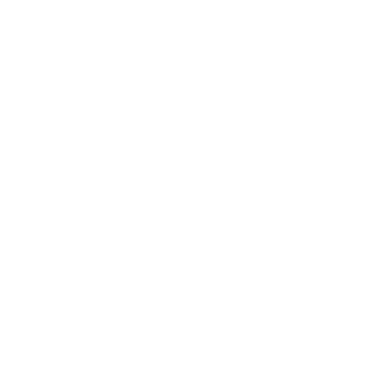 Web Application