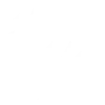 Software Development